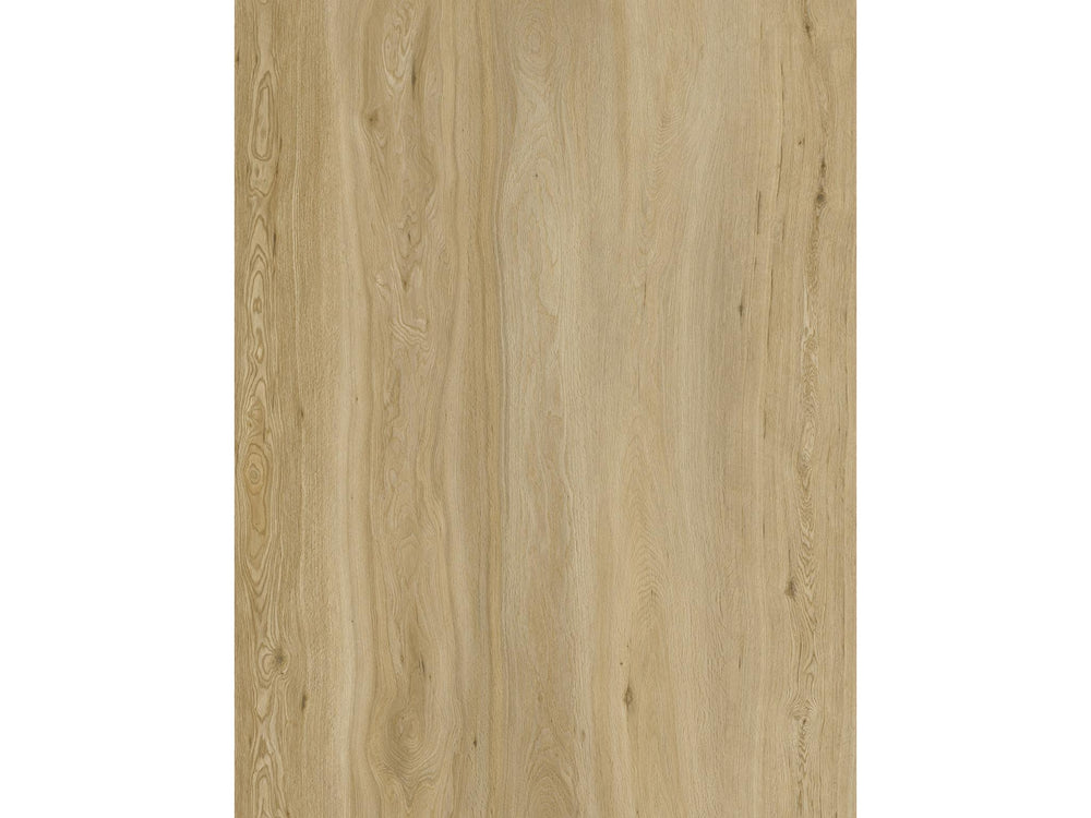 Flooraa BLA013 – PVC plakvloer (dryback) in plank | houtlook vloer kopen bij Vloeren Point