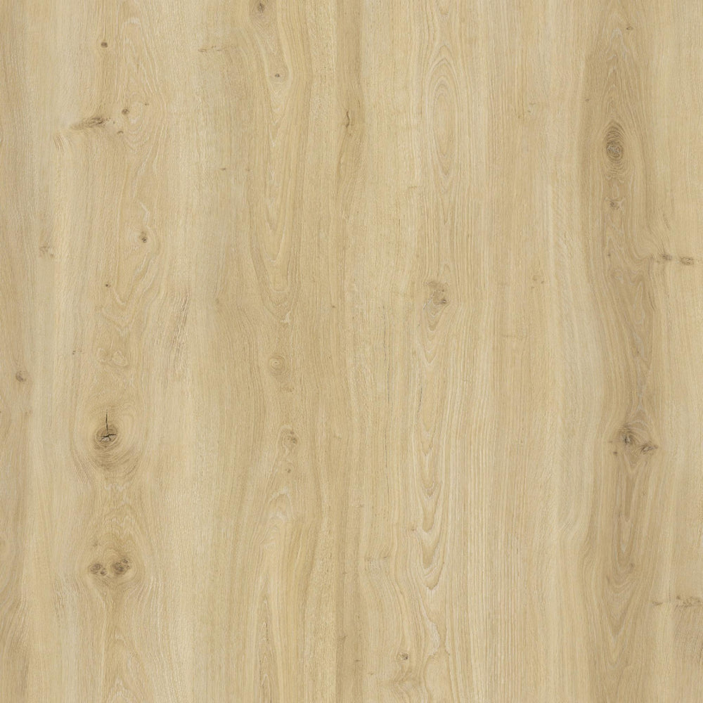 Flooraa BLA014 – PVC plakvloer (dryback) in plank | houtlook vloer kopen bij Vloeren Point