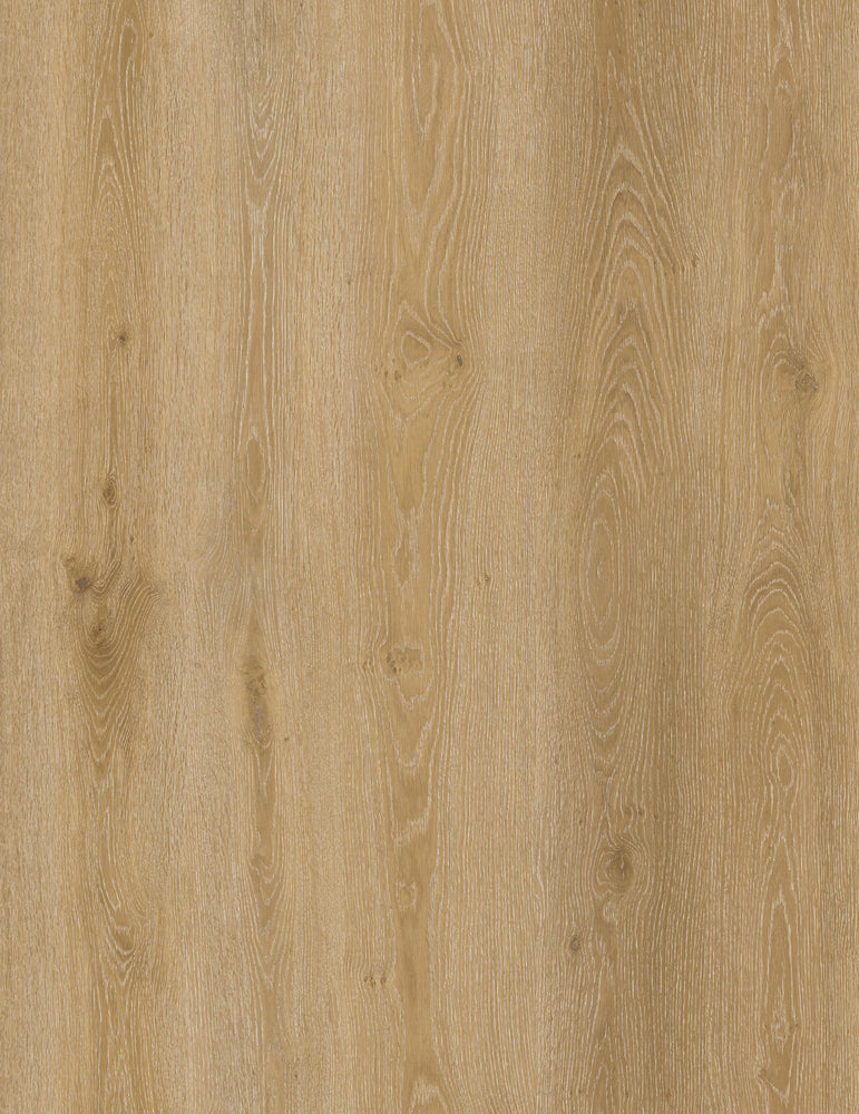 Flooraa BLA016 – PVC plakvloer (dryback) in plank | houtlook vloer kopen bij Vloeren Point
