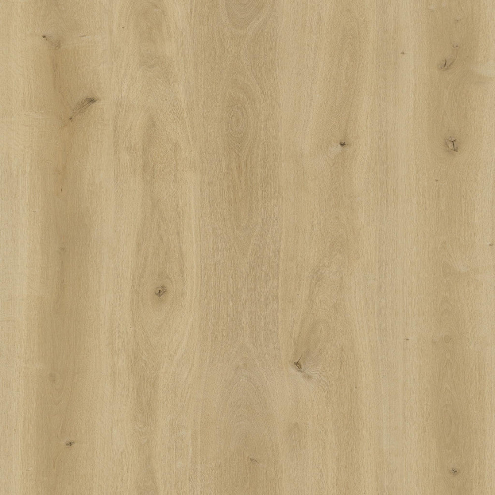 Flooraa BLA017 – PVC plakvloer (dryback) in plank | houtlook vloer kopen bij Vloeren Point