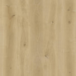 Flooraa BLA017 – PVC plakvloer (dryback) in plank | houtlook vloer kopen bij Vloeren Point