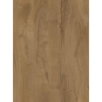 Flooraa Floors • PVC klik • plank EL009