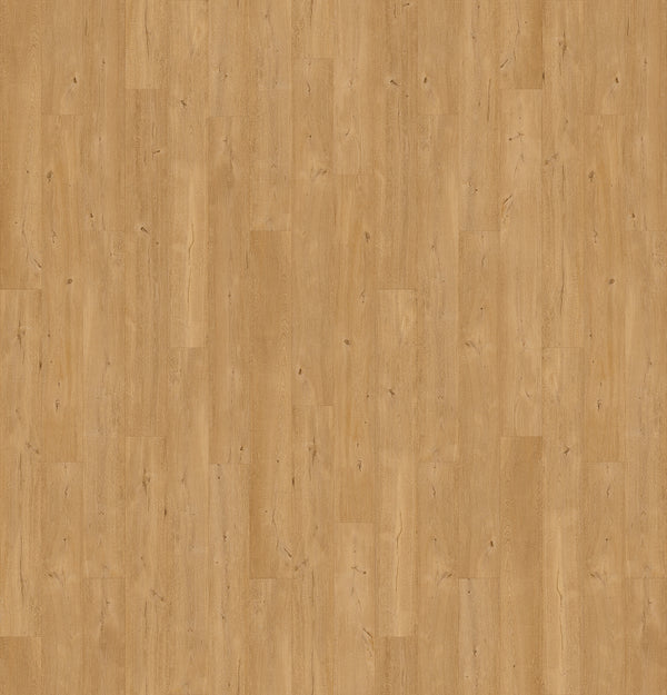 Floorify PVC klik • XL planken • Frangipane