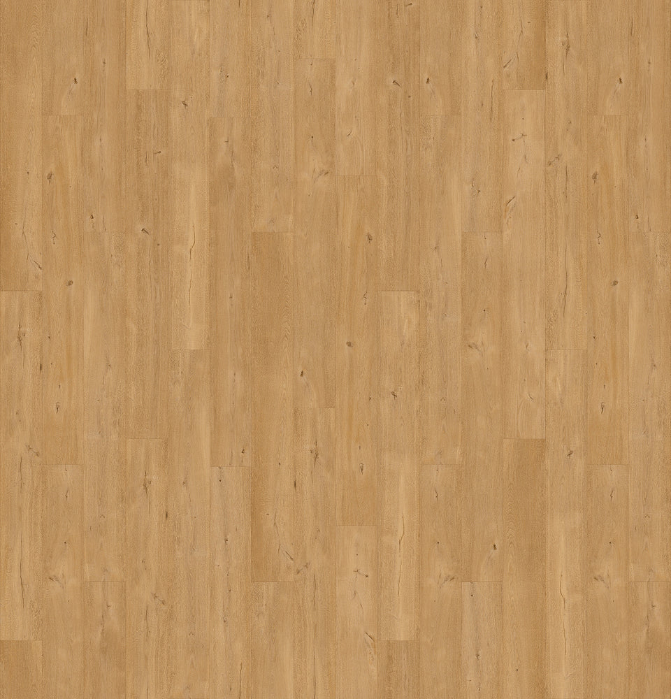 Floorify PVC klik • XL planken • Frangipane