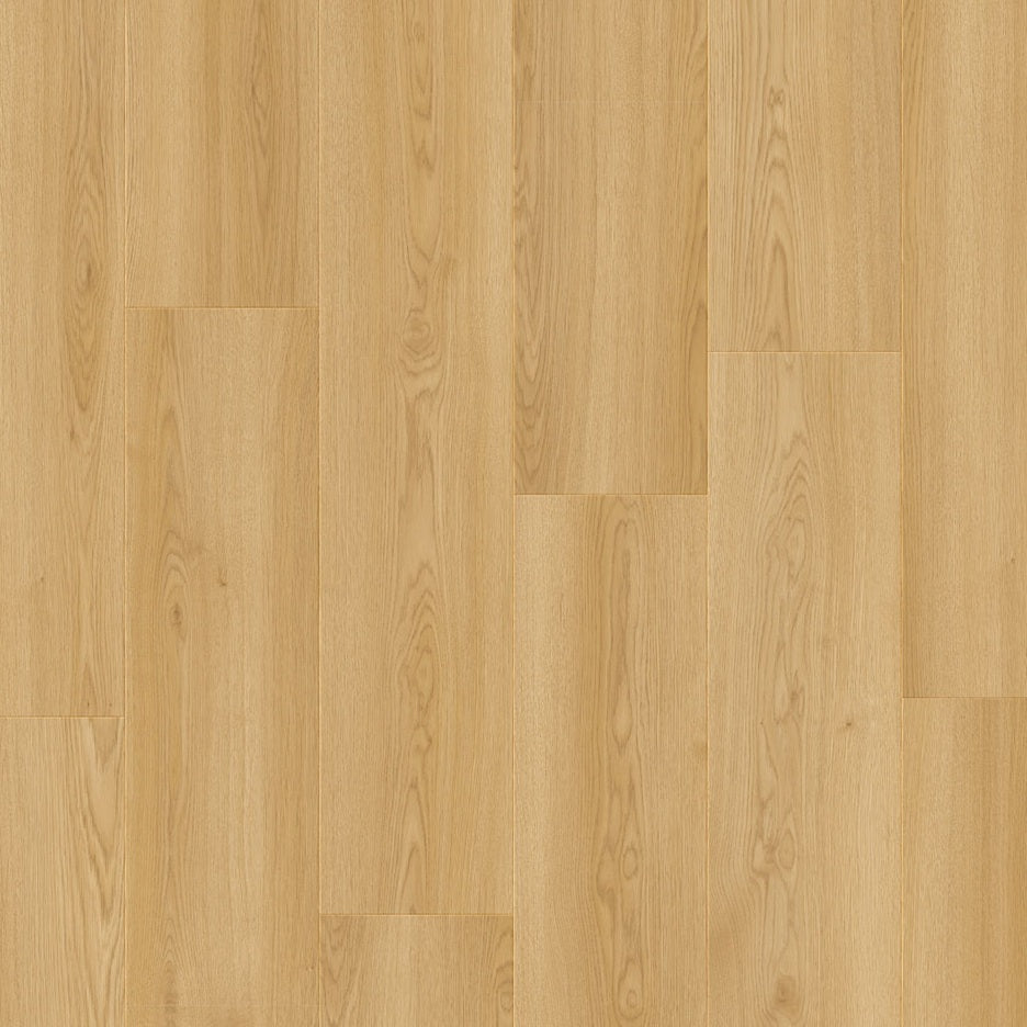 Moduleo lay red • PVC  klik • Dingle Oak 13850
