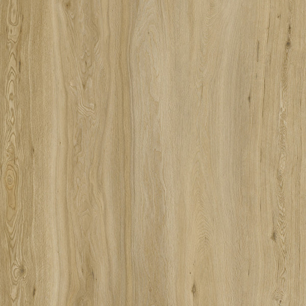 Flooraa Floors • PVC klik • plank EL001